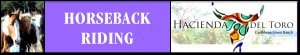 Horseback Riding